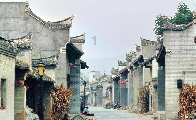 了解芥菜怎么腌制好吃更脆知识星球,提升你的学习能力